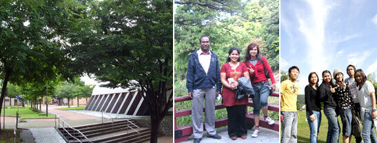 International Students