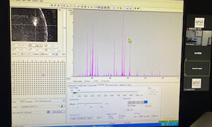 完全遠隔利用の様子