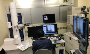 現地・半遠隔利用の様子